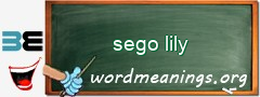 WordMeaning blackboard for sego lily